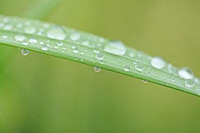 派拉蒙计划翻拍希区柯克《迷魂记》 小罗伯特唐尼主演